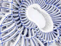 Biology-Inspired Porcelain Sculptures