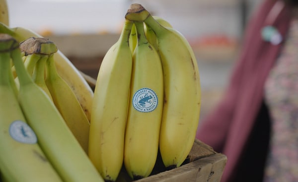 Data-Driven Sustainability Certifications