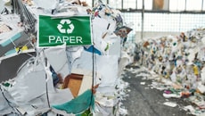 Commercial Recycling Expansions Article Thubnail