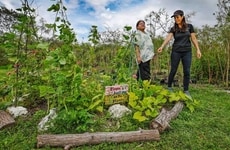 Food Scrap Conversion Projects Article Thumbnail