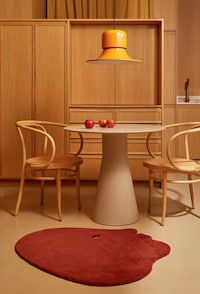 Artful Versatile Rug Collections Image 3