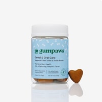 Nutritious Dog Gummies Image 1
