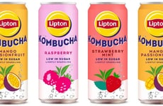 Canned Tea Brand Kombuchas