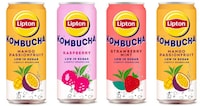 Canned Tea Brand Kombuchas