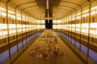 Luxurious Scotch Whisky Platforms