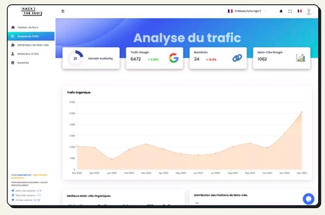 AI SEO Optimizers