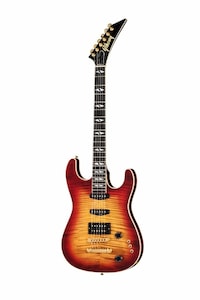Highly Collectible Vintage Guitars Image 8