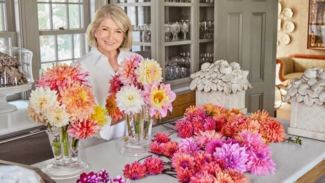 Celebrity Lifestyle Brand Relaunches