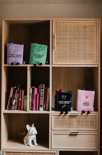 Book-Themed Plush Collectibles