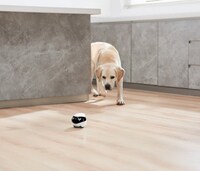 Smart Moveable Robot Cameras