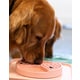 Multi-Use Pet Feeding Trays Image 1