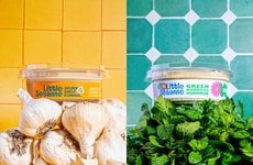 Flavorful Hummus Product Lines