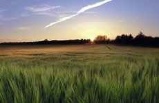 Net Zero Farm Funds Article Thumbnail