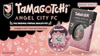 Football Club-Collaborative Digital Pets Image 1