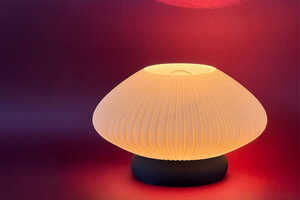 Plant-Based Contemporary Lamps Article Thubnail