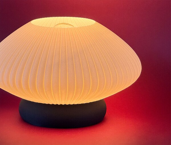 Plant-Based Contemporary Lamps Image 2