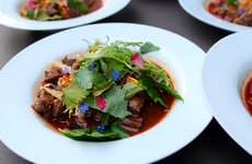 Upcycled Fine Dining Campaigns Article Thumbnail