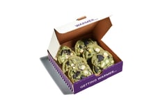 Green-Hued Springtime Cookies