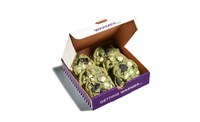 Green-Hued Springtime Cookies Image 1