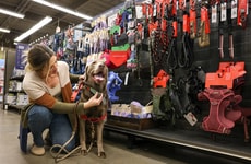 Pet-Focused Upcycling Retail Programs