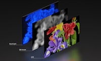 Next-Generation Display Systems