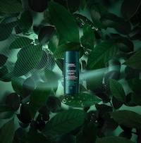 Plant-Powered Pre-Shampoo Products Image 1