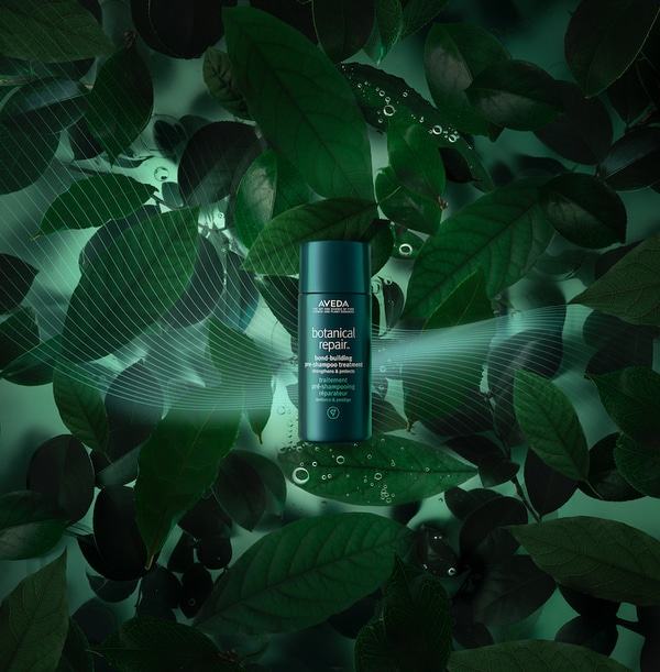 Plant-Powered Pre-Shampoo Products
