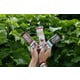 Plant-Based Complete Nutrition Bars Image 1