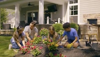 Whimsical Garden Product Campaigns