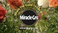Whimsical Garden Product Campaigns Image 3