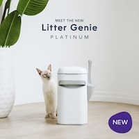Durable Litter Boxes Image 3