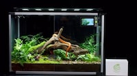 Connected Reptile Habitat Controllers