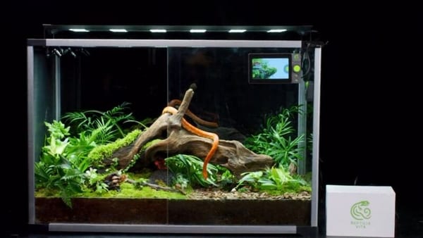 Connected Reptile Habitat Controllers