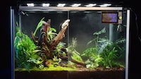 Connected Reptile Habitat Controllers Image 3