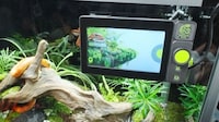 Connected Reptile Habitat Controllers Image 4