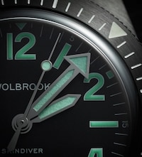 Demure Designer Dive Watches Image 3
