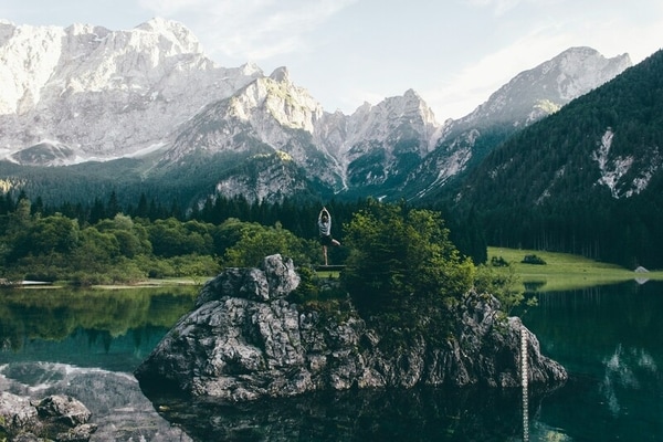 One-Stop Wellness Marketplaces