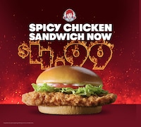 Spicy Sandwich Promotions Image 1