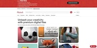 Subscription-Based Creator Platforms