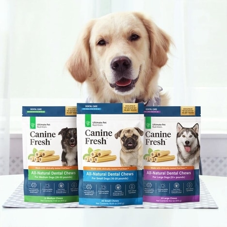 Premium Dental Dog Chews