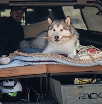 Car Camping Accessories