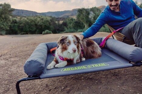 Summer-Forward Pet Collections