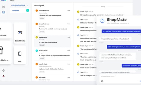 AI E-commerce Support