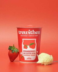 Cornwall-Inspired Dairy Products Image 1