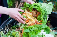 Community Composting Initiatives Article Thumbnail