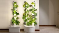 Small Space Hydroponic Systems
