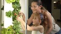 Small Space Hydroponic Systems Image 2