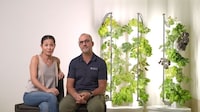 Small Space Hydroponic Systems Image 3