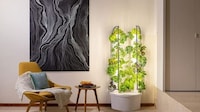 Small Space Hydroponic Systems Image 6