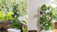 Small Space Hydroponic Systems Image 7
